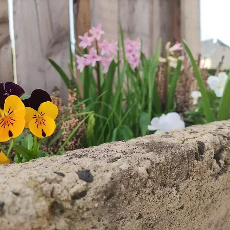 Cosy Avec Jardin Prive Pres Du Canyon De Prázdninový dům Bozouls